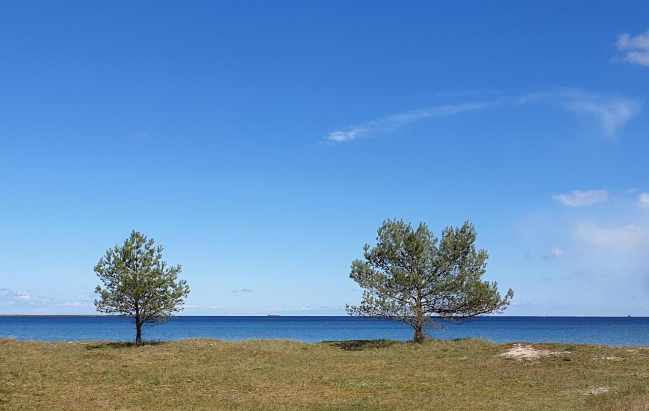 Ostseeblick Rügen Sassnitz Exterior foto